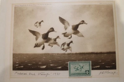 RW-4 1937 Federal Duck Stamp Print &  Stamp - Image 1 of 4