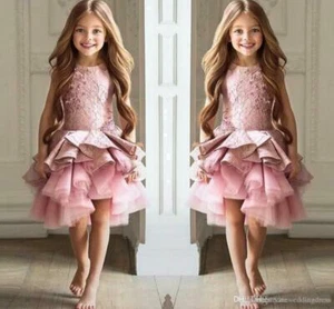 Pink Flower Girl Dresses Lace Long Sleeve Fall Ball Gowns Kids Party Princess - Picture 1 of 5