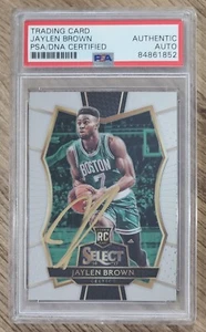 Jaylen Brown Signed 2016-17 Select Rookie Card #174 NBA Celtics Slabbed Auto PSA - Picture 1 of 2