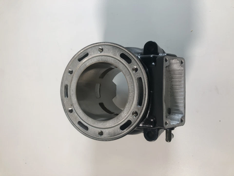 Новый Arctic Cat подлинный OEM 3006-050 цилиндр для 2002 Mountain Cat 800 - Изображение 1 из 3