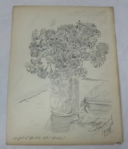 DESSIN AU CRAYON  Pot d' oeillets dits " Arabes "  1948 signé Marc PLASAULES VIV - Picture 1 of 1