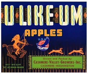 GENUINE APPLE CRATE LABEL VINTAGE AMERICAN INDIAN NATIVE HUNTING DEER WWII LOGO - Picture 1 of 1