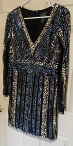 Adrianna Papell Striped Embellished Lined Sheath Special Occasion Dress Size 14 - Picture 1 of 12