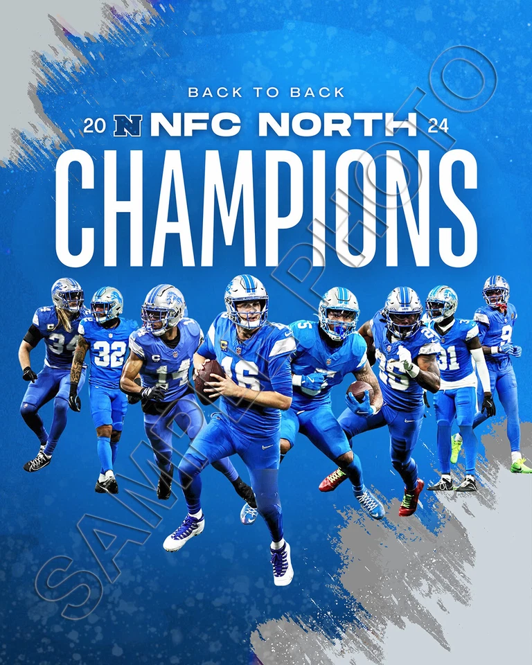 FOTO DEL EQUIPO 11 X 14 CAMPEONES DE LA DIVISIÓN NORTE NFC ESPALDA CON ESPALDA DE LOS LEONES DETROIT 2024 Foto 1 de 1