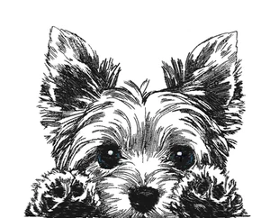 Yorkie YORKSHIRE TERRIER Welpe personalisiert bestickt Fleece Stadiondecke - Bild 1 von 2