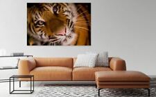 PREYING TIGER MACRO art Home decor High quality Canvas print choose size 
