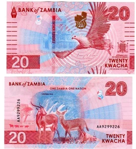 ZAMBIE Zambia Billet 20 Kwacha 2024 2025. New Nouveau Cerfs NEUF UNC - Picture 1 of 1