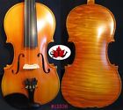 Best Professional Maestro 4/4 Violin One-Piece Back Flame,Powerful Sound #12536