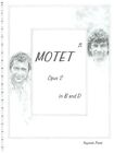 Profis Fanzine ""Motet Opus 2 in B und D"" SLASH Bodie/Doyle 1997