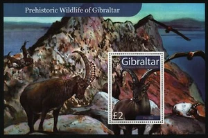 Gibraltar 2007 - Mi-Nr. Bloque 80 ** - MNH - Fauna - Imagen 1 de 1