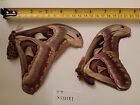 Attacus Atlas Ssp. Pair. A Large Ssp From Java A1, Fantastic Value.See Photo