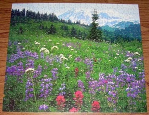 Rompecabezas Parker Brothers Guild Parque Nacional Monte Rainier WA 500 piezas completo - Imagen 1 de 2