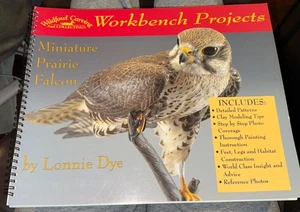 Wildvögel Schnitzerei Magazin Werkbank Projekt Miniatur Prärie Falke Lonnie Farbe - Bild 1 von 7