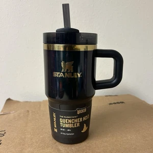 Stanley x Wicked 20 Unzen Edelstahl H2.0 Löscher Becher Elphaba For Good  - Bild 1 von 5