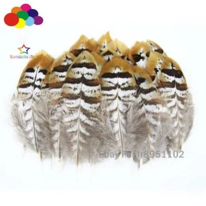 Pretty gold 10-100 PCS natural Pheasant tip Feathers 5-15 cm/2-6 inches Diy - Picture 1 of 5