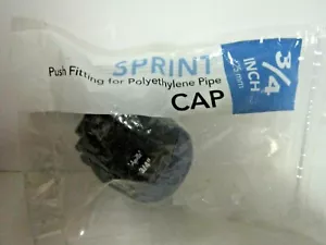 Apollo Flow 3/4" Sprint Push CAP Fitting Polyethylene Pipe SPRCAP34 - Picture 1 of 3