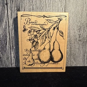 Retired PSX K-3133 Pear Script Rubber Stamp - Rare - Free Shipping - Picture 1 of 3
