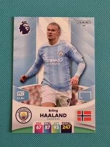 Panini Premier League Adrenalyn XL 23/24 Base Cards Haaland Mac Allister