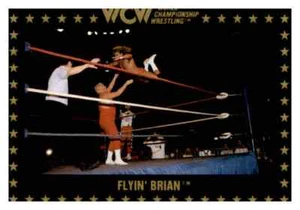 Brian Pillman 1991 Championship Marketing WCW Card #62 - Picture 1 of 2