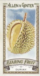 2022 Topps Allen & Ginter Mini Einsatz Lager Obst #4 Durian - Bild 1 von 1
