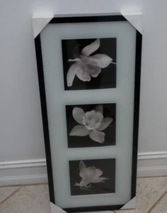 IKEA Erikslund Wall Art Canvas w/ Black Wooden Frame 3 Flowers Print 302.317.30 - Picture 1 of 5