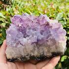 1151g Natural Stone Deep Amethyst Quartz Crystal Cluster Specimen Therapy Crysta