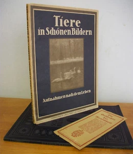 TIERE, 1926 German Animal Photo Picture Book - Picture 1 of 5