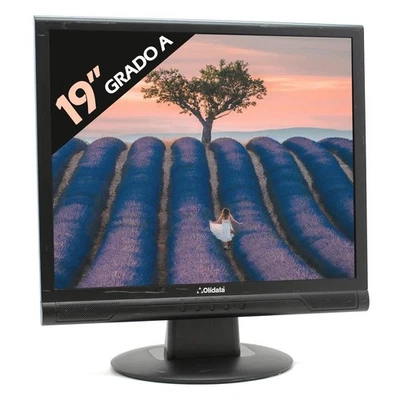 MONITOR Bildschirm Display LCD OLIDATA MR19F05N 19" 4:3 5:4 VGA VESA Grad A - Bild 1 von 4