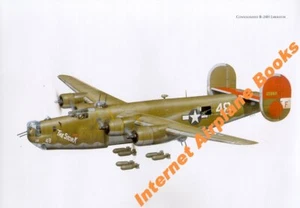 AVIATION ART CONSOLIDADO B-24 LIBERATOR SEGUNDA GUERRA MUNDIAL 726a 451a BG 15A AF USAAF ITALIA - Imagen 1 de 1