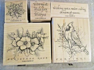 Mounted Stampin UP! “CHRISTMAS CARDINAL" set of 5 Wood Rubber Stamps RETIRED - Picture 1 of 3