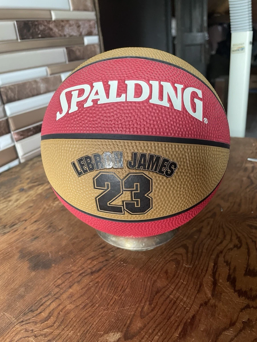 LeBron James NBA Fan Balls for sale | eBay