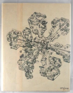 MIKE & DOUG STARN - BALDWIN GALLERY ALLEVERYTHINGTHATISYOU SNOWFLAKE MONOGRAPH - Picture 1 of 5