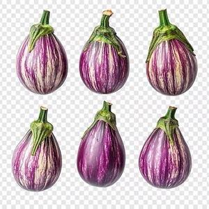 Angelina Graffiti Eggplant Seeds 100 Seeds Italian Heirloom Variety, High Yield - Picture 1 of 2