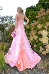 NEW Vera Wang Wedding dress gown primrose Pink white ivory lavender mauve 2 4 6 - Picture 1 of 16