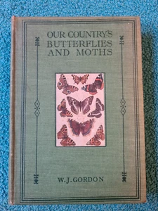 Our Country's Butterflies & Moths, W. J. Gordon, plates by H. Lynn, illustrated - Picture 1 of 16