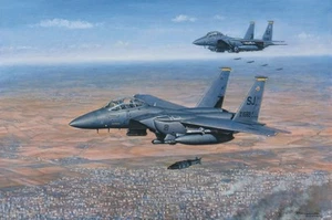 Cohetes RONALD WONG F-15E Strike Eagle 4ta ala de combate 336 Kobani ROBERT TAYLOR - Imagen 1 de 2