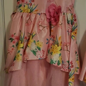 Girl Flower Floral Dresses Size 10 Plus Pink Yellow Green Princess - Picture 1 of 2