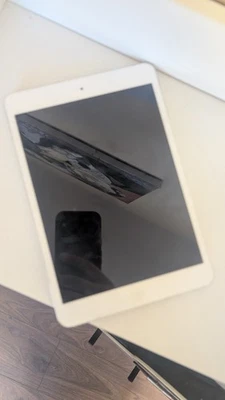 Apple iPad mini 2 – 32GB – WiFi – Silver – A1489 – Fully Working –  iOS 12.5.6 - Image 1 of 4