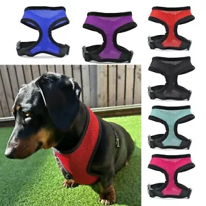 Arnés para perros Dachshunds ajustable cachorro sujeción malla transpirable collar para mascotas - Imagen 1 de 30