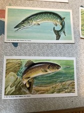 Lot 11 1961 Red Rose Salada Tea Cards Game Fish Canadian Ephemera Junk Journal A