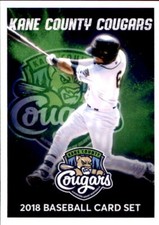 2018 Kane County Cougars Grandstand #1 Tim Susnara Header - NM Baseball Card