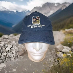 Great Smoky Mountains Embroidered Logo Bears Baseball Hat Navy Ball Cap YOUTH - Picture 1 of 9