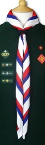 Red White & Blue Cub Scout Boy Scout Girl Guide Uniform Necker - Adult Size - Picture 1 of 6