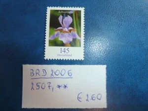 BRD 2006, Freimarke: Blumen (VIII), Michel 2507, ** - Imagen 1 de 1