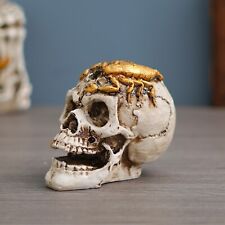 Scorpion Sitting On Skull Statue Human Head Skull Sculpture for Halloween Decor