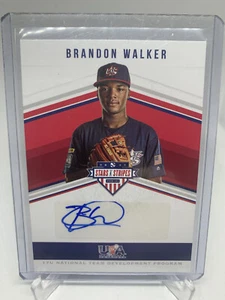 2018 USA Baseball Stars and Stripes 17U Blue Ink Auto Brandon Walker /495 - Picture 1 of 2