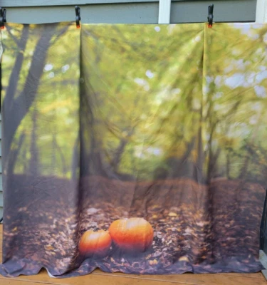 秋季照片挂毯壁布南瓜协会6背景80英寸x66英寸 — 第 1/4 张图片