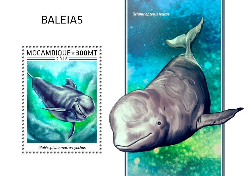 Whales MNH Stamps 2018 Mozambique S/S - Image 1 of 1
