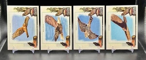 2023 Allen & Ginter Talonted Insert Lot Hen Harrier Bald Eagle Merlin Vulture - Picture 1 of 2