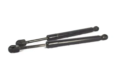 Amortiguador puntal puerta trasera Audi A6 2005-2008 OEM Foto 1 de 3